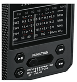 Audiobox RX-15BT Multiband Emergency Radio with Bluetooth, Flashlight & USB/SD Playback