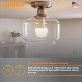 LED A19 Light Bulb, 9 Watts (60W Equivalent), 800 Lumens, GU24