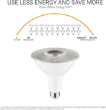 PAR38 LED 15W SUNLIGHT