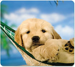 Recycled Mouse Pad, 9 x 8, Puppy in Hammock Design