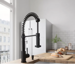 Vigo Edison Pull-Down Spray Kitchen Faucet [Matte Black]